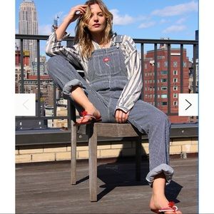 Dickies Relaxed Fit Striped Overalls